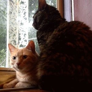 Meet your Posher, Kevin